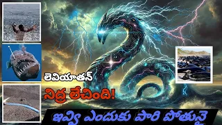 🔥ప్రళయం రాబోతుందా?🤯Whats Wrong In Oceans? | Doomsday Fish Oarfish