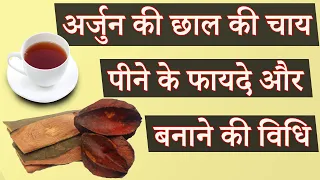 बड़ी से बड़ी बीमारियों का काल है अर्जुन की छाल की चाय, जानें फायदे और चाय बनाने का तरीका Arjun Chhal