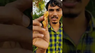 🌀🌀புழுவு வச்ச பழம்...#trending #funny #fun #nareshkuruvilla