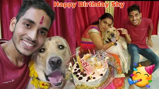 Labrador Dog Shy Birthday Party | SourShy | Funny Dog Video