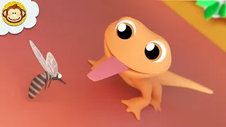 Cicak Cicak di Dinding 🦎 | Kartun Lucu | Lagu Anak Indonesia