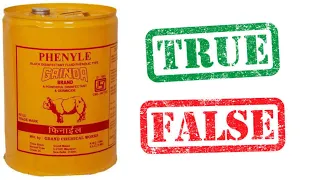 Before Buying Gainda Phenyle Watch This Video || फिनायल लाने से पहले ये बाते जानलो!