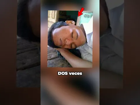 ¡Fotos que tienes que mirar DOS VECES para entender! 🐈