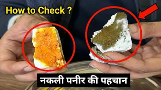 असली और नकली पनीर ऐसे पहचाने | Iodine Tincture Paneer Test | How to check Nakli Paneer at Home