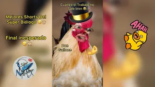 Mejores Shorts del Super Biólogo #8 🤣 Finales inesperados🙊🤌