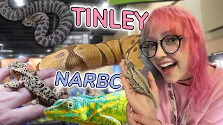 BIGGEST Reptile Expo in THE US! + My New Rare Lizards! - NARBC