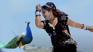डेरा में आवे तो रे छोरा  ~ Rani Rangili सुपरहिट सांग ~ Dera Me Aave To Re ~ Rajasthani DJ Song 2025