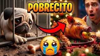 Nadie quería ayudar al perrito, hasta que pasó esto... 😱🐶