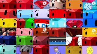 36 bfdi auditions (Read desc)