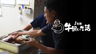 【6日目】お肉になったトラとジュンが帰ってきた #1週間牛飼い生活