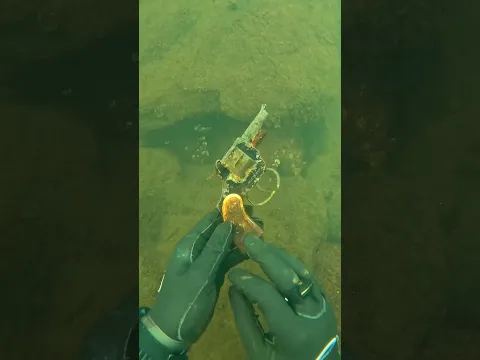 Scuba Diver Finds Possible Murder Weapon Underwater!