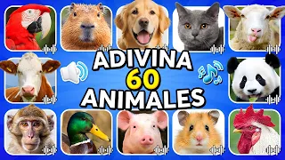 Adivina 60 Animales Por Su Sonido🦁🐴🐮¿Cuántos Animales Puedes Adivinar Correctamente
