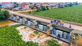Best Teamwork Ever! Removing All Hyacinths from the Dam Water Gate