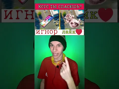 КОТЁНОК VS АЙФОН?? А ЧТО ВЫБЕРЕШЬ ТЫ?? 😱 #Shorts #fotspb 🌺