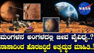 ಮಂಗಳನ ಅಂಗಳದಲ್ಲಿ ಜೀವ ವೈವಿಧ್ಯ..? ನಾಸಾದಿಂದ ಹೊರಬಿದ್ದಿದೆ ಅತ್ಯದ್ಭುತ ಮಾಹಿತಿ..!