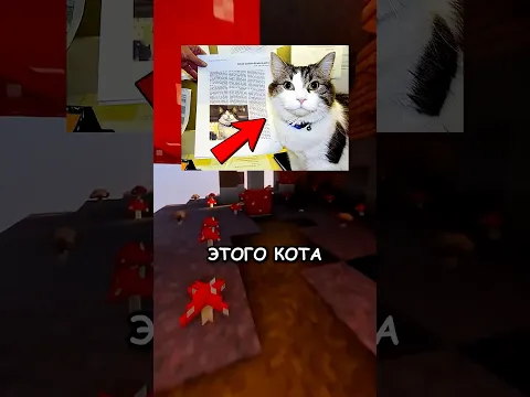 💔 Котик БЫЛ РЯДОМ в ПОСЛЕДНИЕ минуты! #shorts