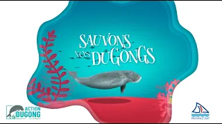 Sauvons nos dugongs ! Comment les protéger ?