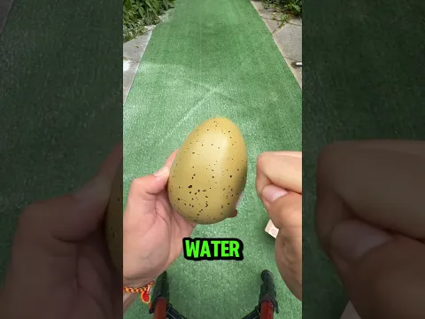 He Bought a Capybara Egg… But What Hatched Was INSANE 😳