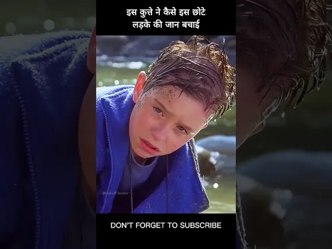 इस कुत्ते ने कैसे इस छोटे लड़के की जान बचाई #shorts #viral