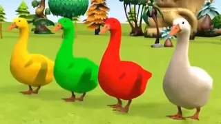 Lagu Potong Bebek Angsa| bebek sapi kucing ayam