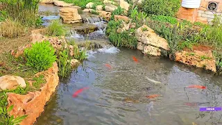 طبيعة الأردن 4K | استرخاء وتأمل مع أصوات العصافير – Jordan Nature Relaxation