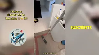 Mejores Shorts del Súper Biólogo #1 🤣🙊