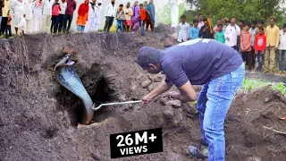एक बुजुर्ग को सांप ने काट लिया, JCB से खुदाई करके सांप को बाहर निकाला Rescue cobra snake