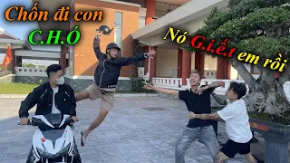 Biến Căng!!! Hào Ka Ép Giáp Đi Tò Lần 2 Hoàng Dũng Đ.ấ.m Thẳng Mặt Hào,Giáp,Quỳnh Chấm Dứt Vụ Việc