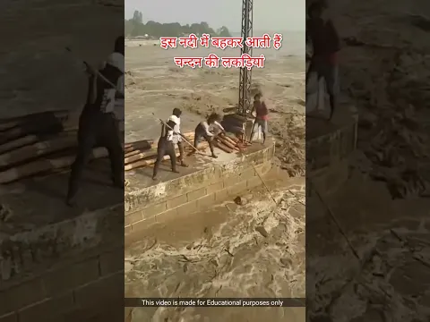 इस नदी में बहकर आती हैं चन्दन की लकड़ियां #shorts #viralvideo #river