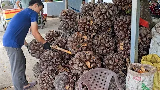 Amazing Giant Fruit! Nipa Palm Fruit Juice
