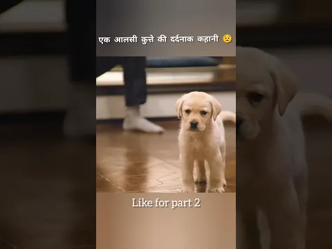 एक आलसी कुत्ते की दर्दनाक कहानी 😟  #shorts