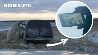 Terrifying Encounter with Arctic Polar Bear | Operation Arctic | The Travel Edit