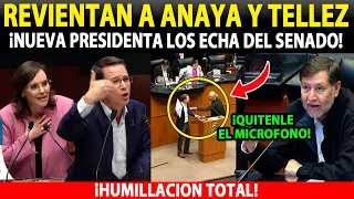 ¡REVIENTEN A ANAYA Y TELLEZ! NUEVA PRESIDENTA LOS ECHA DEL SENADO, PANISTAS DE LUTO