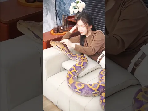 #tiktok