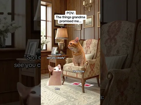 CAT MEMES 🐱The things grandma promised me #catmemes #relatable #relationship