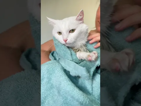 СОФА ОПЯТЬ ЗАПАЧКАЛАСЬ😱