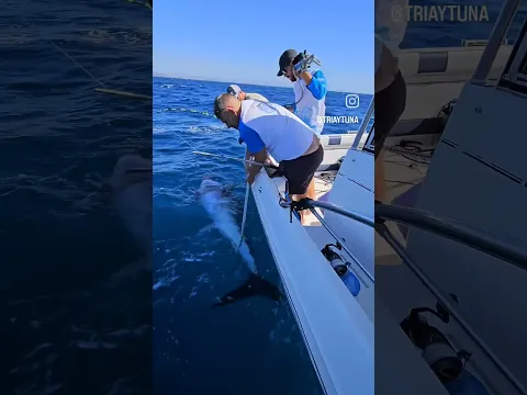 MONSTER SLOB getting pooned' and tail-roped!Don't you just love this moment!???