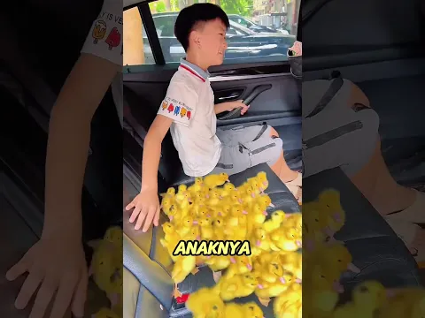 Anak ini mengajak bebeknya pergi liburan #shortviral #bebek