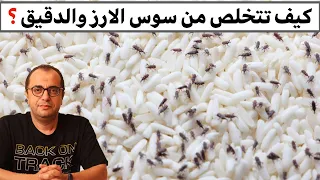 كيف تتخلص من السوس في الارز والدقيق