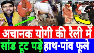 अचानक योगी की रैली में सांड टूट पड़े हाथ-पांव फूले, योगी एकदम से हड़बड़ा गए और फिर...