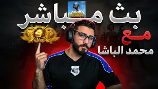 بث مباشر ببجي موبايل محمد الباشا