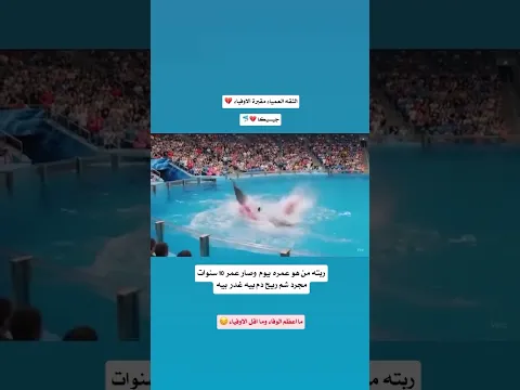 جيسيكا يأكلها الحوت الاوركا ياكل مدربته 💔😔