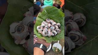 Goat Eyes  Fry | Exotic Food Of India