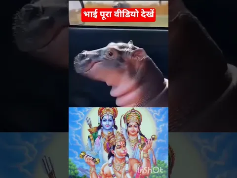 जय बालाजी महाराज शर्ट वीडियो #जय #love #जयश्रीराम #bhaktisong #जयभीम #motivati#jay #funny #जयमातादी