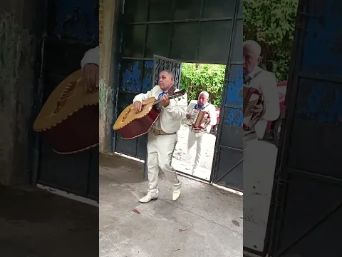 mariachi oro y plata de el salvador