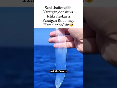 Robbimga Hadlar bo'lsin ❤️🥹 #rek #uzbekistan #sevishganlarsuhnati #baxt1sarim #million #shorts #top