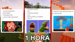 1 HORA DE MEMES PARA REIR SIN PARAR