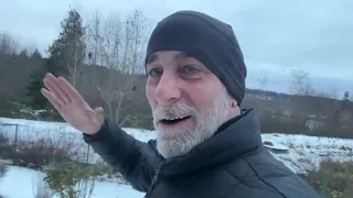 What is going on with the animals and birds?