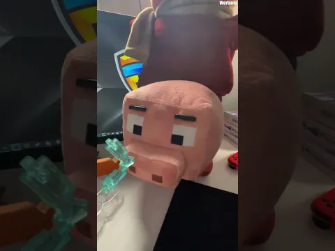 Was ist in diesem Minecraft Stein-Block?