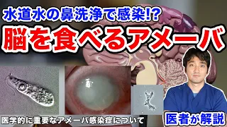 日本でも報告 エボラ出血熱よりも致死率が高い「脳を食べるアメーバ」・旅行の際には淡水に注意【医者が解説】